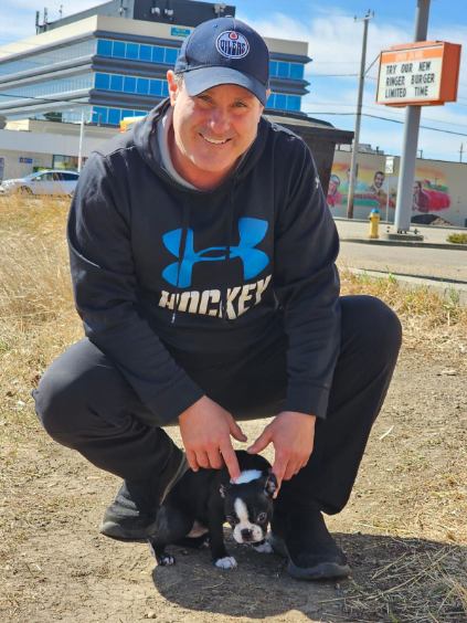 Professional pet care services